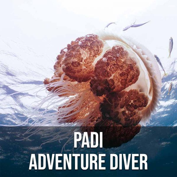 Padi Adventure Diver Course