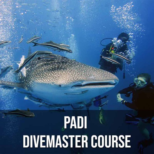 PADI Divemaster Course