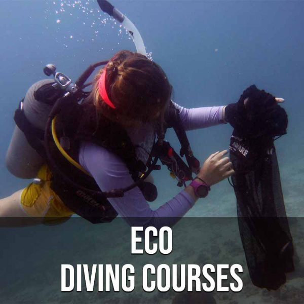 Eco Diving Courses