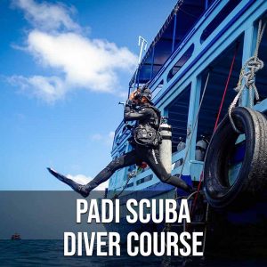 Padi Scuba Diver Course