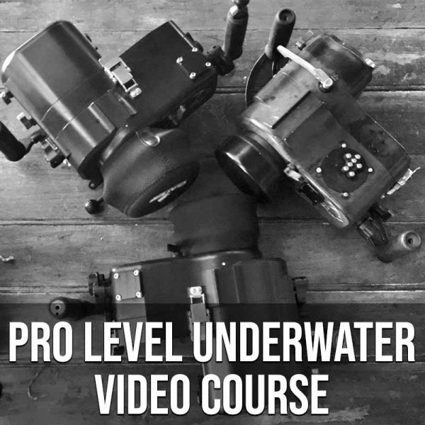 Pro Level Underwater Video Course