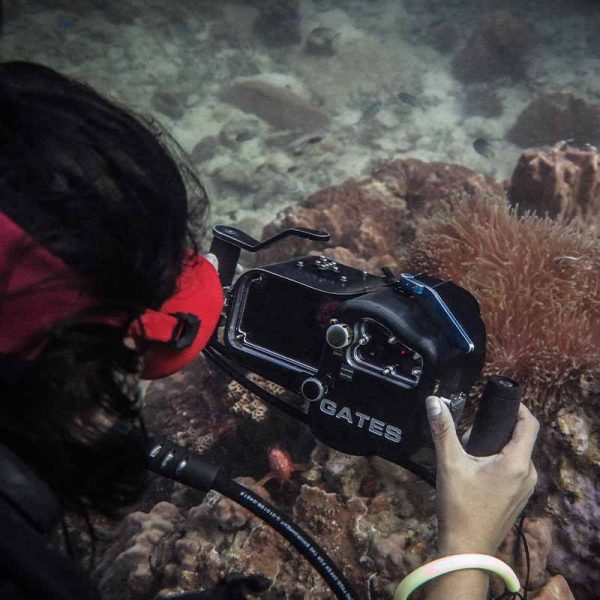 Basic PADI Underwater Videography Course